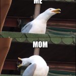 Inhaling Seagull | MOM; ME; MOM; ME | image tagged in memes,inhaling seagull | made w/ Imgflip meme maker