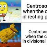 Spongebob | Centrosome when the cell is in resting phase; Centrosome when the cell is in divisional phase | image tagged in weak vs strong spongebob | made w/ Imgflip meme maker