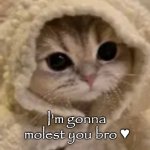 im gonna molest you bro