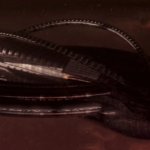 Slavic Command Carrier meme