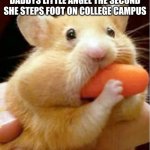 daddys little girl | DADDYS LITTLE ANGEL THE SECOND SHE STEPS FOOT ON COLLEGE CAMPUS | image tagged in hamster eats carrot mouthful | made w/ Imgflip meme maker