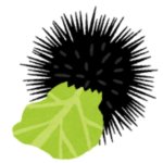 Illustration of a sea urchin eating cabbage meme