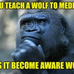 Deep Thoughts | IF YOU TEACH A WOLF TO MEDITATE; DOES IT BECOME AWARE WOLF ? | image tagged in deep thoughts | made w/ Imgflip meme maker