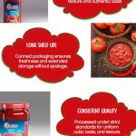 Canned Tomato Paste China