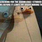 exams | ME SERCHING FOR THE KNOWLEDGE I STUDIED FOR 48 HOURS BEFORE IT LEAVES MY BRAIN DURING THE EXAM | image tagged in private penguin existential crisis,exams,memes,leaving | made w/ Imgflip meme maker