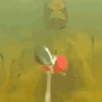 Fish Bait GIF Template