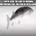 Yes it will give you TEN YEARS OF AMAZING LUCK | YOU'VE SEEN THE CHIP OF WISDOM, NOW PREPARE FOR, THE FISH OF INTELLIGENCE: | image tagged in gifs,memes,relatable,cats,dogs,stop reading the tags | made w/ Imgflip video-to-gif maker
