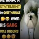 He made a statement so questionable template