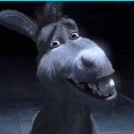 Donkey