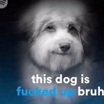 this dog is fucked up bruh template