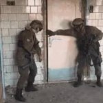 K9 training GIF Template