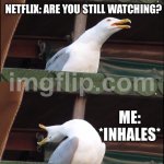 SLEEP IS FOR THE WEAK!!!! | ME: JUST ONE MORE EPISODE; NETFLIX: ARE YOU STILL WATCHING? ME: *INHALES*; DO I LOOK LIKE I HAVE A LIFE!? | image tagged in memes,inhaling seagull,life sucks,life,sleep,netflix and chill | made w/ Imgflip meme maker