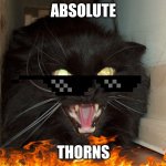 ABSOLUTE THORNS | ABSOLUTE; THORNS | image tagged in angry screaming cat | made w/ Imgflip meme maker