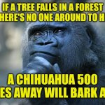Deep Thoughts | IF A TREE FALLS IN A FOREST AND THERE'S NO ONE AROUND TO HEAR IT; A CHIHUAHUA 500 MILES AWAY WILL BARK AT IT | image tagged in deep thoughts | made w/ Imgflip meme maker