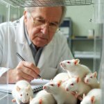 Scientist doctor white lab rats laboratory