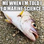 dead fish | ME WHEN I’M TOLD I HAVE A MARINE SCIENCE TEST | image tagged in dead fish | made w/ Imgflip meme maker