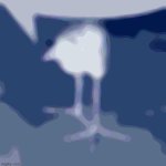 I Just Wish I Knew…