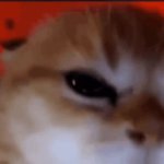 ragey generator GIF Template