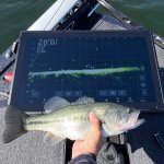 Big bass big fish finder