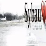 free sybau