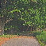 Remember tomorrow is not promised