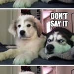 Doggo | THE PAST, PRESENT, AND FUTURE WALK INTO A BAR; DON'T SAY IT; IT WAS TENSE | image tagged in dog bad joke | made w/ Imgflip meme maker