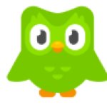 Duolingo Bird
