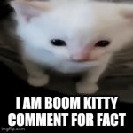 oxygen users on right | I AM BOOM KITTY COMMENT FOR FACT | image tagged in gifs,kitty | made w/ Imgflip video-to-gif maker