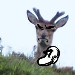 angry deer