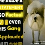 he made a statement so factual