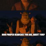 Shrek proper headcase