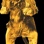 likkle lion