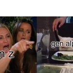 generations | gen alpha; gen z | image tagged in memes,woman yelling at cat | made w/ Imgflip meme maker