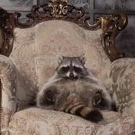 racoon throne