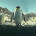 bro im just standing here