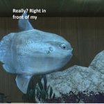 Really? Right in front of Reginald?