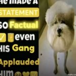 he made a statement so factual