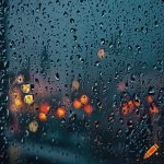 Rainy window