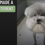 He made a statement blank template