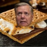 Lindsey Graham cracker