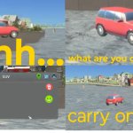 Carry on car