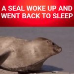 breaking news GIF Template