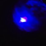 U GOT BAMBOOZLED GIF Template