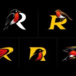 Robin Logo