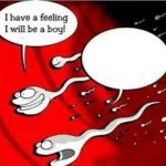 i have a feeling i will be a boy