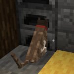 minecraft cat