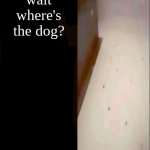 where is the dog? | wait where's the dog? | image tagged in he made a statement blank | made w/ Imgflip meme maker
