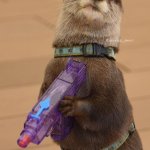 Otter with a squirt gun
