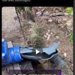 Jewish lightning argentina