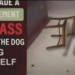 He made a statement so ass even the dog hung himself